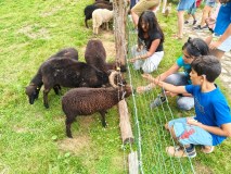 Asturias Authentic Farm Experience