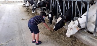 Cantabria Make Your Cheese Experience