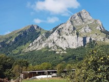 Navarra Cheese Experience