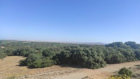 Castilla-La Mancha Winery Visit Experience