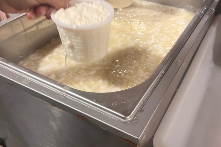 Cantabria Artisan Ice Cream Workshop Experience