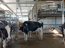 Cantabria Make Your Cheese Experience