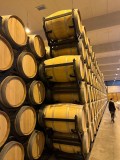 Castilla-La Mancha Winery Visit Experience