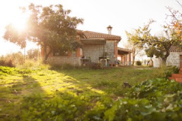 Toledo Eco Tour Experience