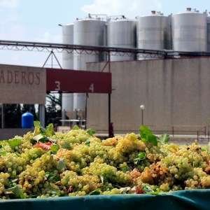 Castilla-La Mancha Essence of Royal Fields Experienc