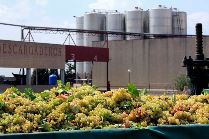 Castilla-La Mancha Essence of Royal Fields Experienc