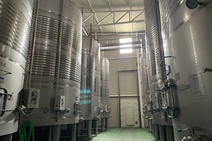 Castilla-La Mancha Essence of Royal Fields Experienc