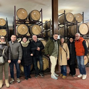 Castilla-La Mancha Essence of Royal Fields Experienc