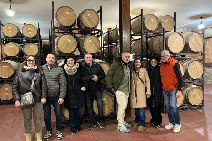 Castilla-La Mancha Essence of Royal Fields Experienc