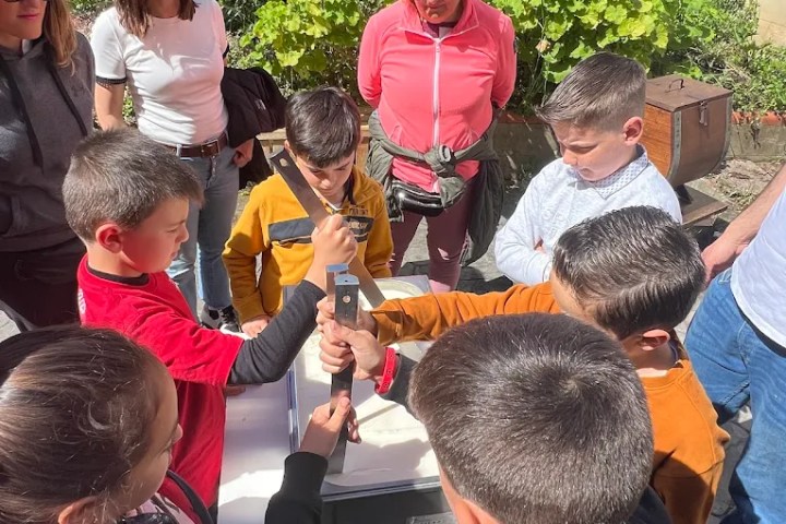 Cantabria Artisan Ice Cream Workshop Experience