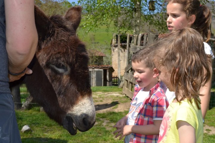 Asturias Authentic Farm Experience