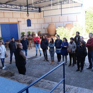 Valdepeñas Wine Tasting Experience