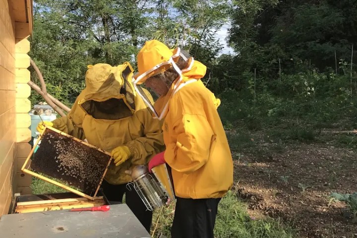 Verona Beekepping Visit & Tasting Experience