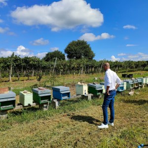 Verona Beekepping Visit & Tasting Experience