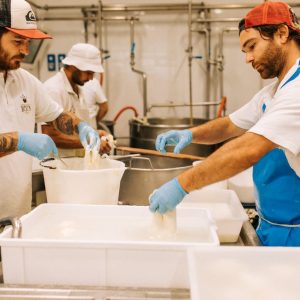 Puglia Cheese & Lunch Experience