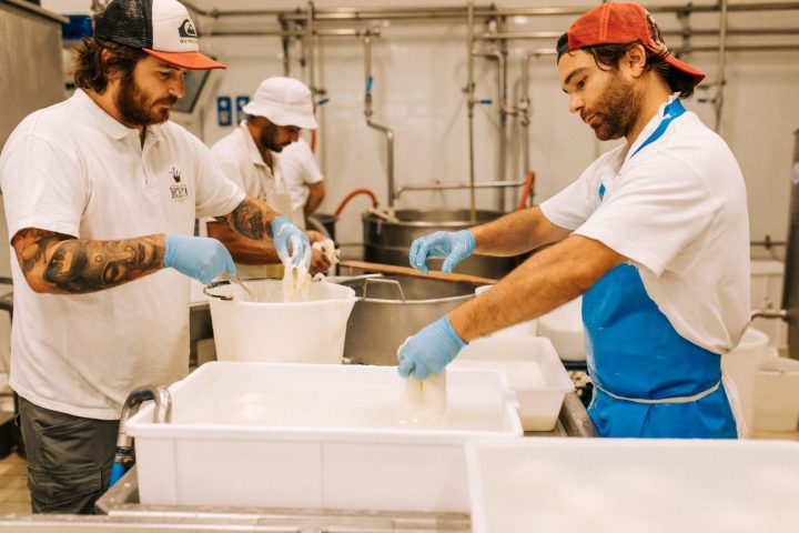 Puglia Cheese & Lunch Experience