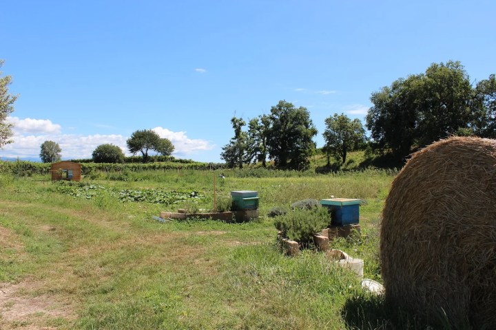 Verona Beekepping Visit & Tasting Experience