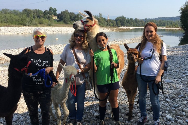 Veneto Farm Guided Tour