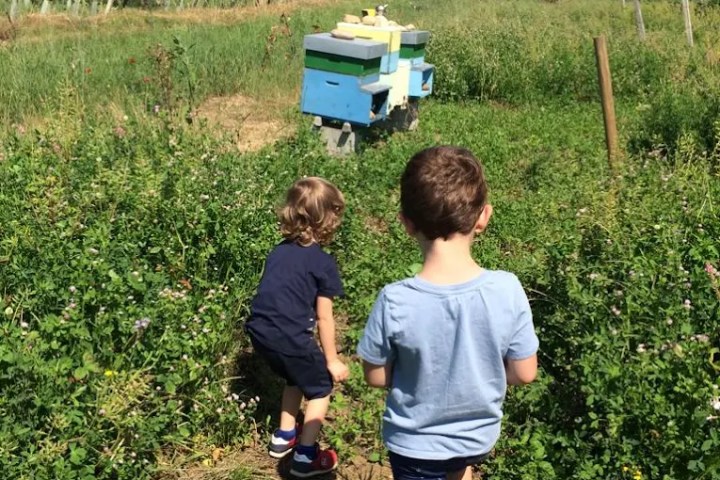 Verona Beekepping Visit & Tasting Experience