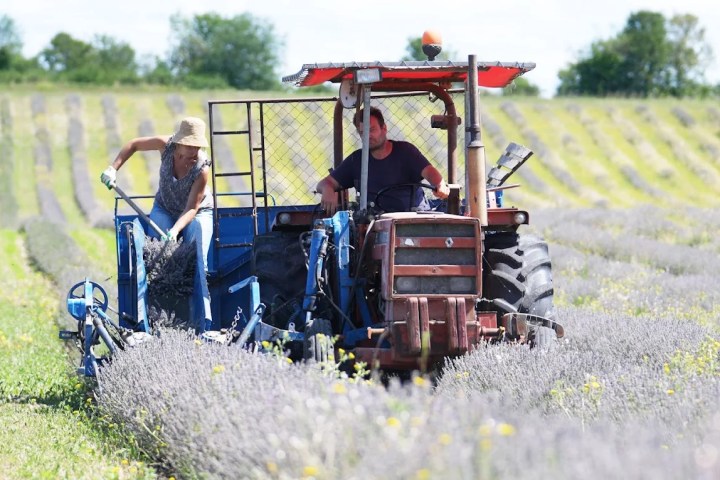 Languedoc Soap Making Experience