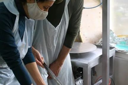 Rhône-Alpes Cheese Factory Experience