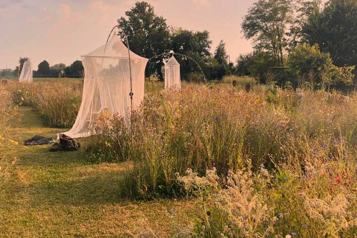 Friuli-Venezia Giulia Farm Picnic & Maze Experience