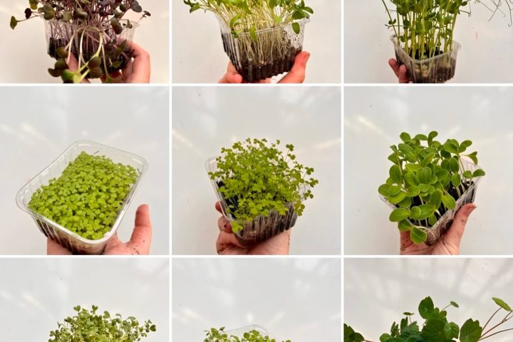 Normandy Aquaponics Tour & Workshops Experience