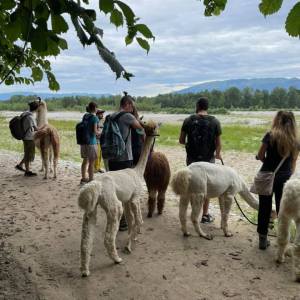Veneto Farm Guided Tour