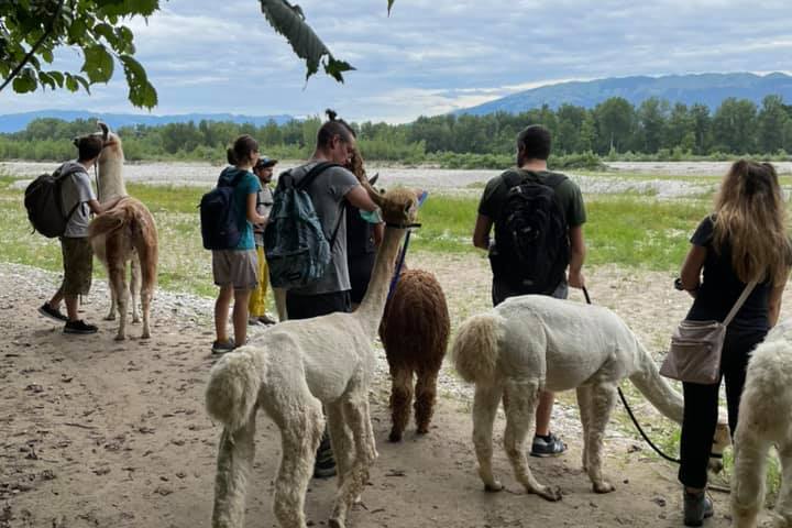 Veneto Farm Guided Tour