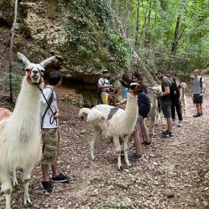 Veneto Farm Guided Tour