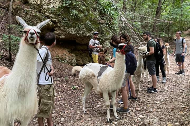 Veneto Farm Guided Tour
