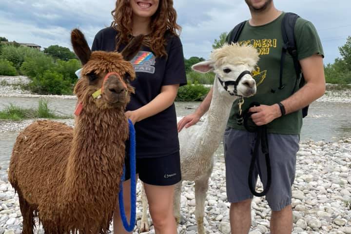 Veneto Farm Guided Tour