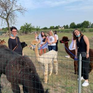 Veneto Farm Guided Tour