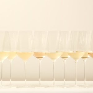 Champagne Brut Tasting Experience