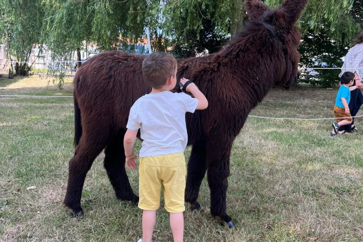 Pays-de-la-Loire Introduction to the Farm Experience