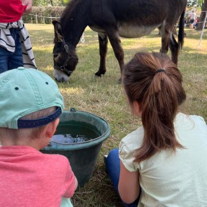 Pays-de-la-Loire Introduction to the Farm Experience