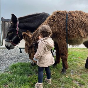 Pays-de-la-Loire Introduction to the Farm Experience