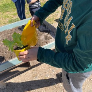 Aquitaine Vegetable Garden Workshop Experience