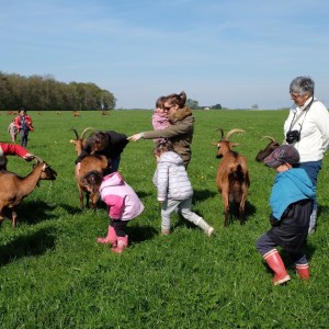 Loire Garden & Farm Immersive Experience