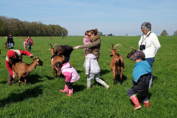 Loire Garden & Farm Immersive Experience