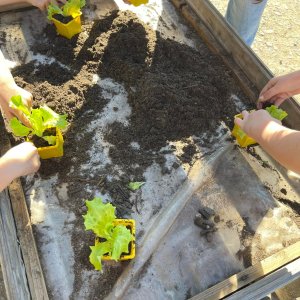Aquitaine Vegetable Garden Workshop Experience