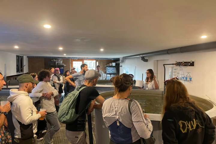 Normandy Aquaponics Tour & Workshops Experience