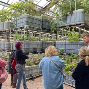 Normandy Aquaponics Tour & Workshops Experience