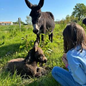 Pays-de-la-Loire Introduction to the Farm Experience
