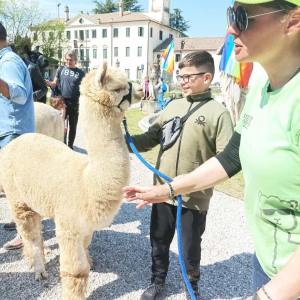 Veneto Farm Guided Tour