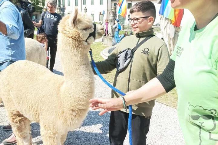 Veneto Farm Guided Tour