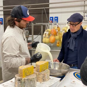 Puglia Cheese & Lunch Experience