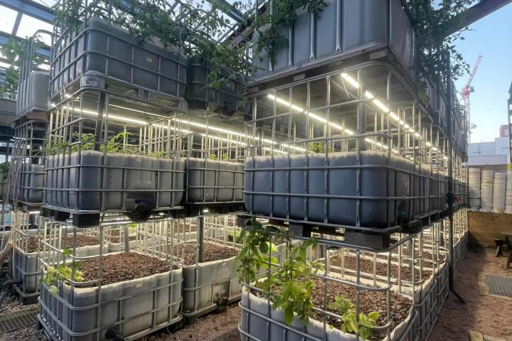 Normandy Aquaponics Tour & Workshops Experience