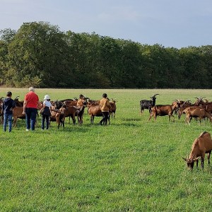 Loire Garden & Farm Immersive Experience