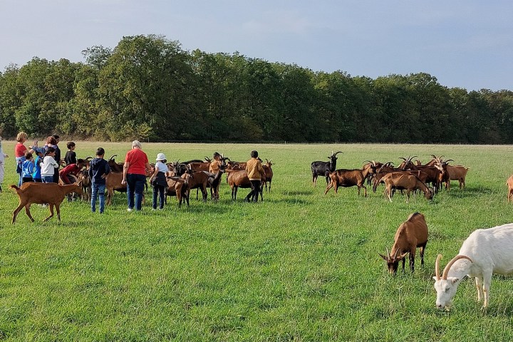 Loire Garden & Farm Immersive Experience